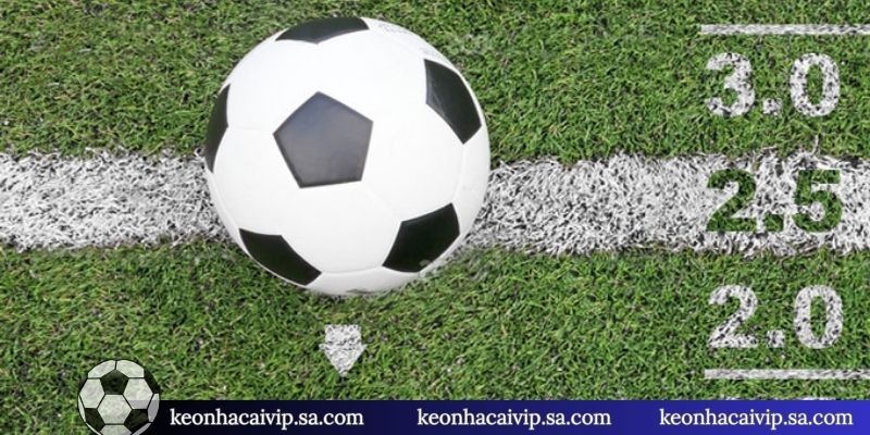 Lưu Ý Khi Cá Cược Bóng Đá - Cẩm Nang Chiến Thắng Cho Newbie 3 3 lỗi lầm nên tránh xa khi cược bóng đá